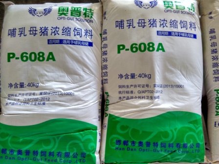 哺乳母豬料 P608A